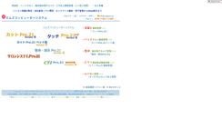 Desktop Screenshot of msjapan.jp